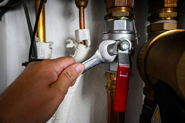 Best Water Softener Installation  in Waynesboro, MS